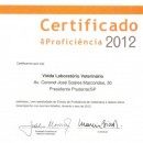 CERTIFICADO DE PROFICIÊNCIA